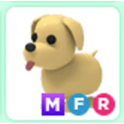 Pet | MFR Dog