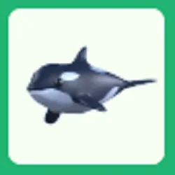 Pet | Orca No Potion