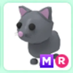 Pet | MR Cat