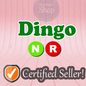 Pet | NR Dingo
