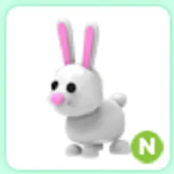 N Bunny Sparkle