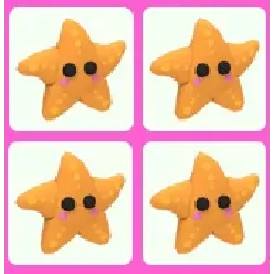 4x Starfish Bundle