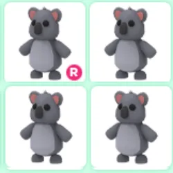 4x Koala Bundle