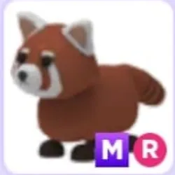 MR Red Panda