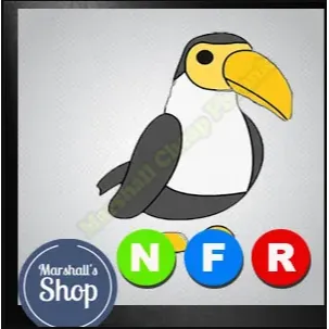 Pet | NFR Toucan Flare