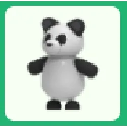 Panda FG Full Grown