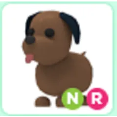 Pet |  NR Chocolate Labrador
