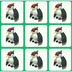 Pet | 10x Woodpecker Bundle