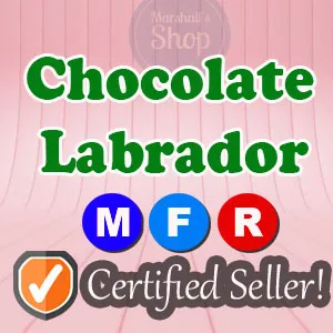 Pet | MFR Chocolate Labrador