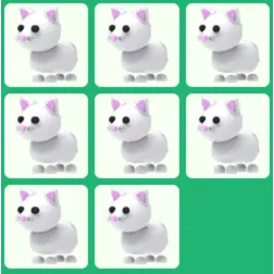 Pet | 8x Snow Cat Bundle
