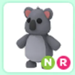 Pet | NR Koala Luminous